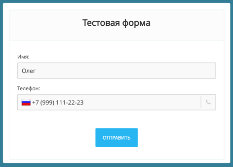 Пример стандартной CRM формы Битрикс24 Пример стандартной CRM формы Битрикс24